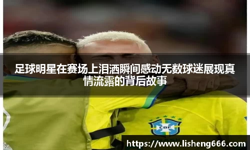 完美体育登录入口