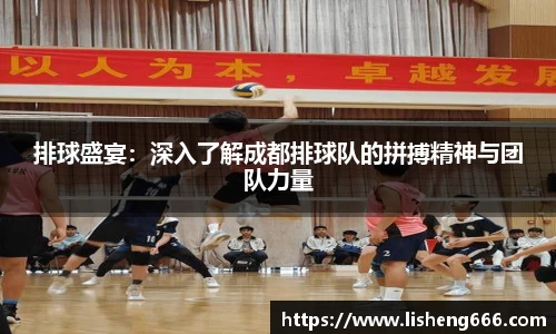 排球盛宴：深入了解成都排球队的拼搏精神与团队力量