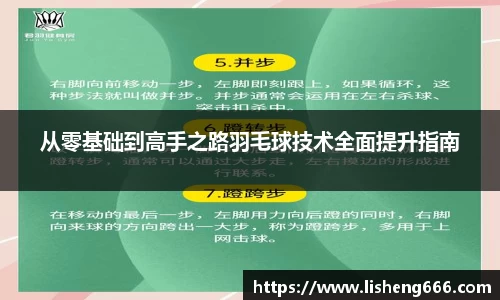 从零基础到高手之路羽毛球技术全面提升指南